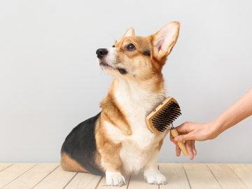 5 Cleaning Gadgets Every Pet Owner Must Have