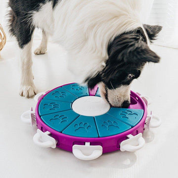 Why Slow Feeding is Important: The Benefits of Slow Feeders for Dogs and Cats