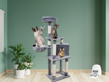 5 Ways a Cat Tree Can Benefit Your Cat