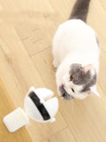 Automatic Ball Lifting Cat Toy - Big Pet Ville