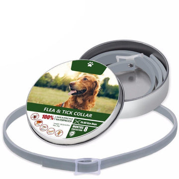 Anti Flea Pet Collar - Big Pet Ville