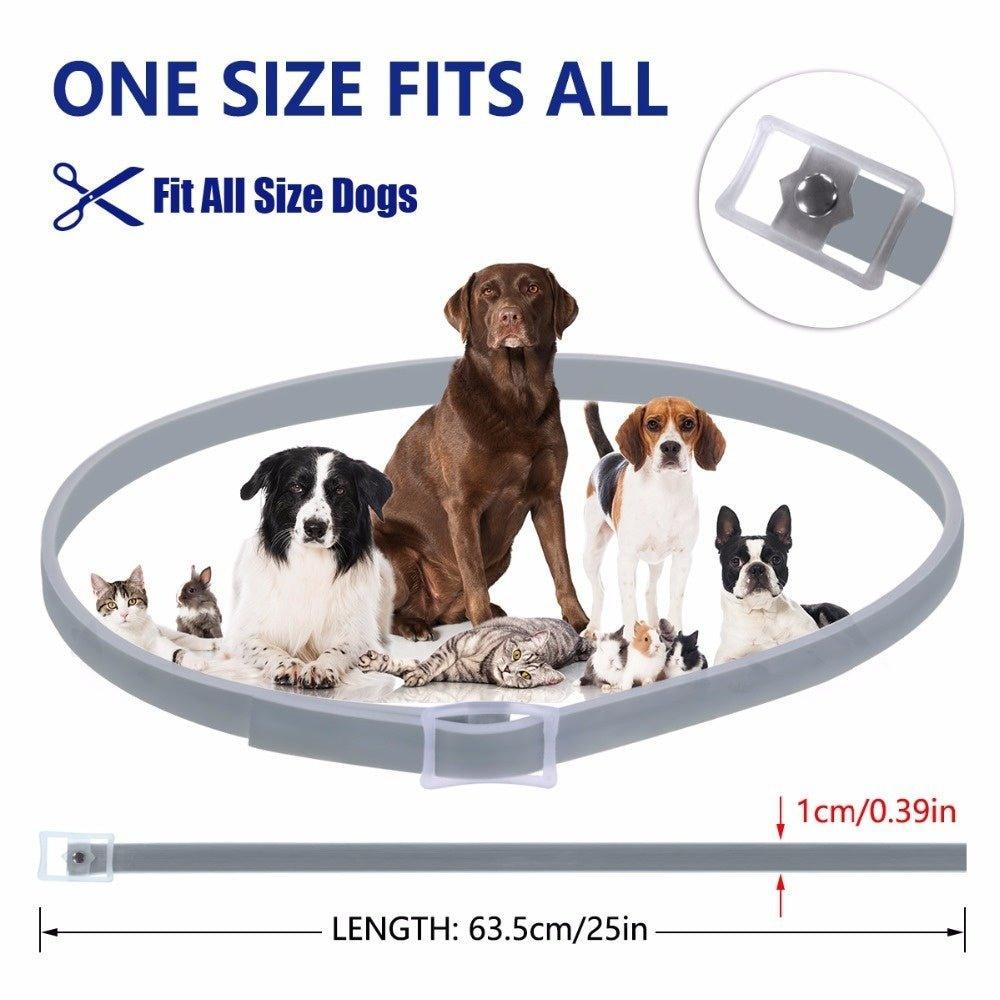 Anti Flea Pet Collar - Big Pet Ville