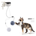 Automatic Ball Lifting Cat Toy - Big Pet Ville