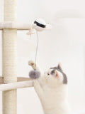 Automatic Ball Lifting Cat Toy - Big Pet Ville