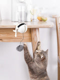 Automatic Ball Lifting Cat Toy - Big Pet Ville