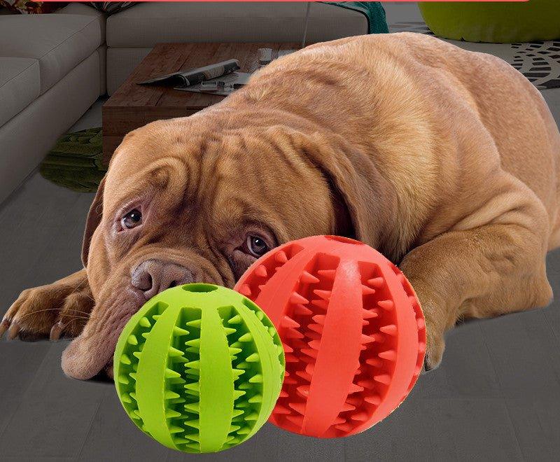 Dog Interactive Rubber Ball - Big Pet Ville