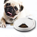 Multi - Grid Pet Automatic Feeder - Big Pet Ville