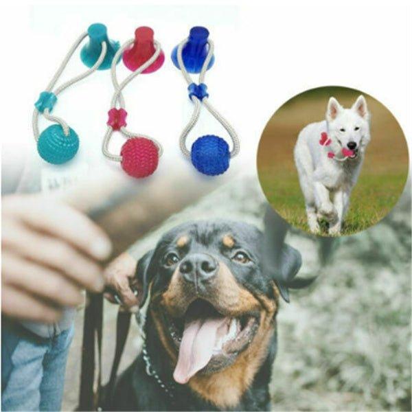 Pet Interactive Suction Cup Elastic Rope - Big Pet Ville