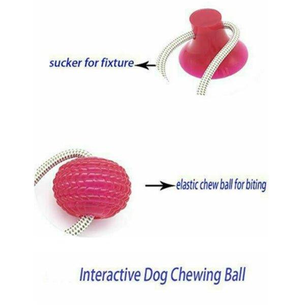 Pet Interactive Suction Cup Elastic Rope - Big Pet Ville